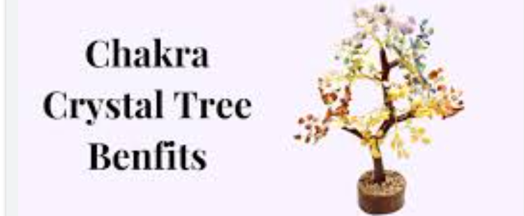 Benefits Of Crystal Tree And Gomati Chakra, Uses Of Crystal
