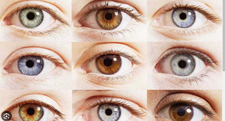 जानिये क्या कहती है आपकी आंखे आंखों के रंगो से जानें कैसा है आपका व्यवहार