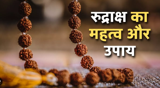 Rudraksh/ सौ मुसीबतों का एक उपाय हैं रूद्राक्ष एकदम सही और सटीक जानकारी